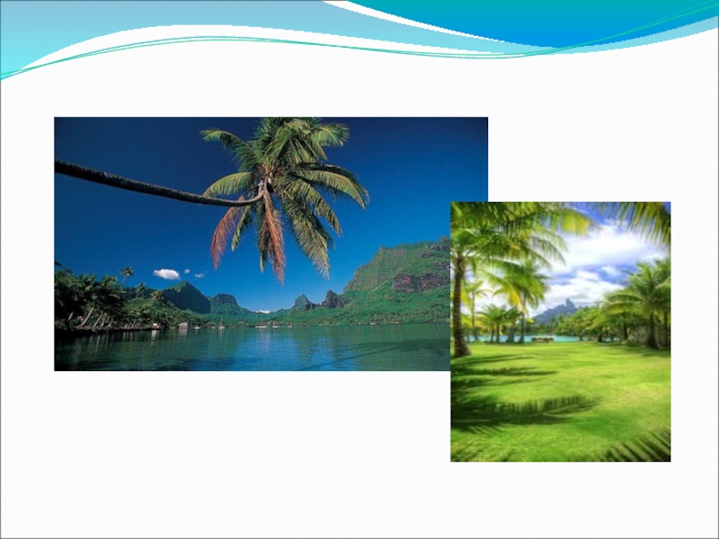 Презентация Презентация по английскому языку на тему Острова Южной Океании(5 класс)