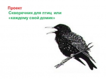 Проект. Скворечник для птиц или каждому свой домик.