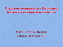 Открытое мероприятие  По основам безопасности жизнедеятельности