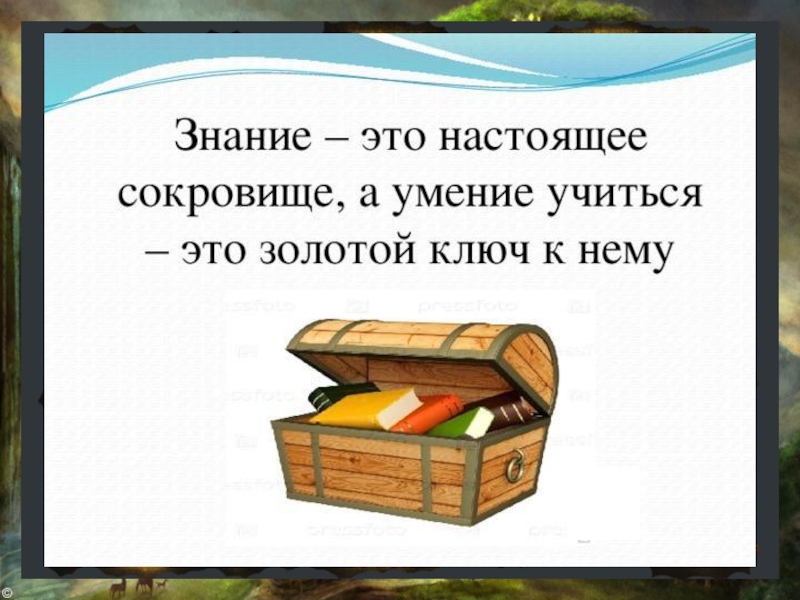 Доброе имя лучше всяких сокровищ проект по литературе