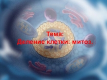 Презентация по биологии на тему Деление клетки: митоз