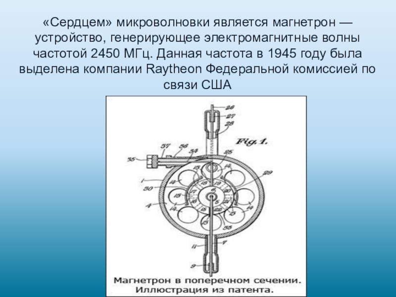 Еда из микроволновки польза или вред проект по физике 9 класс