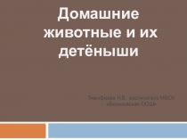 Домашние животные и их детёныши