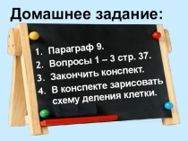 Презентация по биологии на тему Жизнедеятельность клетки (5 класс)
