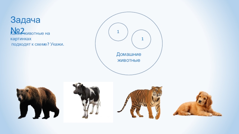 задачи про животных