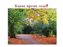 Презентация по теме Осень. Деревья 1 часть