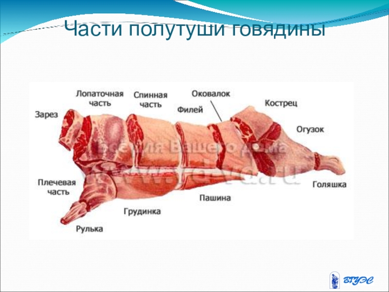 Схема разделки задней части свинины