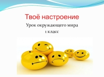 Презентация по окружающему миру на тему  Твое настроение