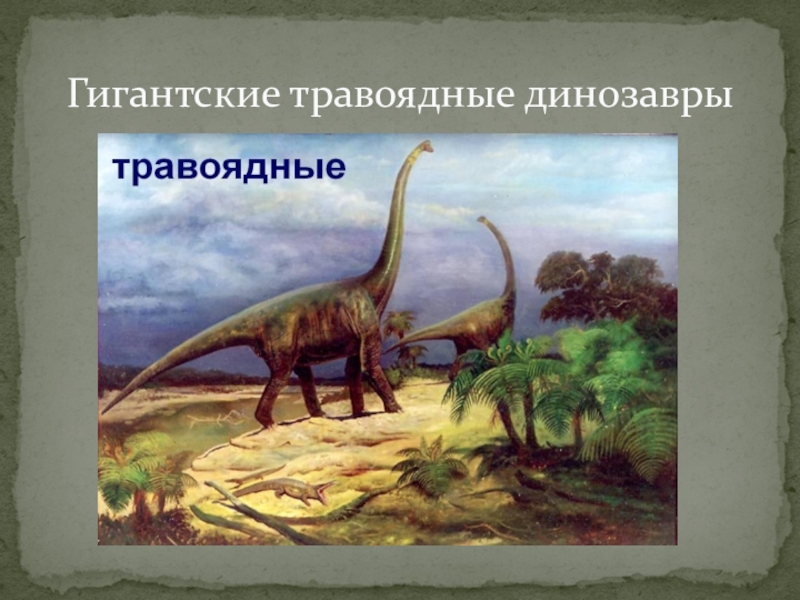 На какой территории жили динозавры. Динозавры Триасового периода. Травоядные динозавры Брахиозавр. Динозавры миллионы лет назад. Динозавры травоядные вымерли.