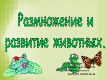 Презентация по окружающему миру:'Развитие и размножение животных
