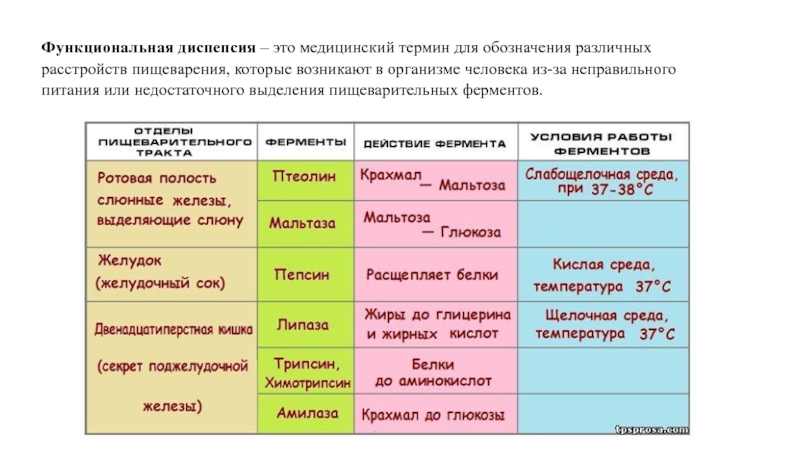 Доклад: Диспепсия