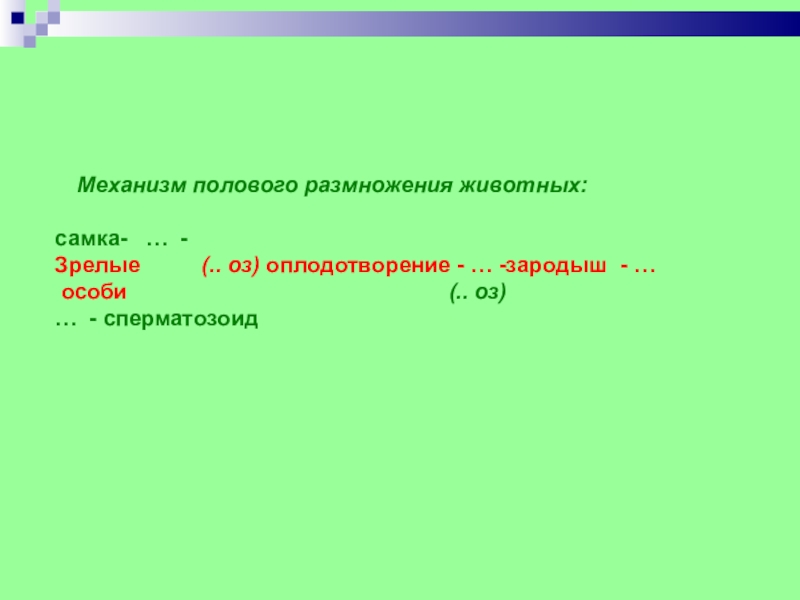 Механизм полового размножения животных: