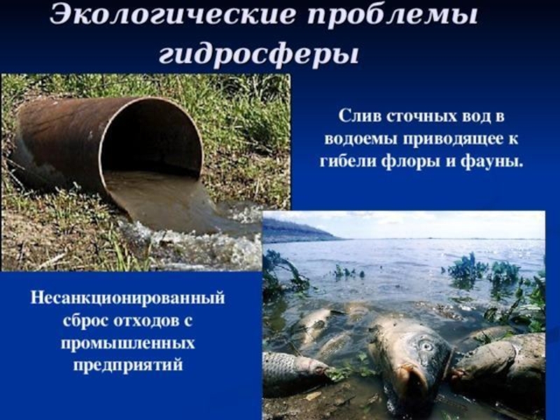 Вода экология презентация