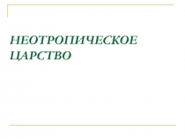 Презентация по биологии на тему Неотропичесское царство