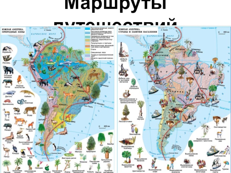 Проект по географии 7 класс южная америка