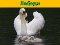 Презентация к уроку математики Решение примеров и задач