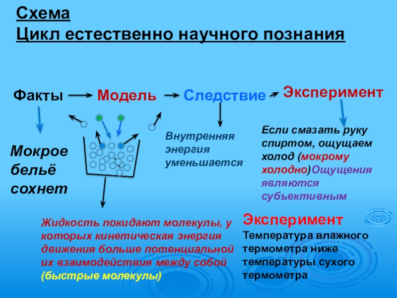 Испарение и конденсация физика 8 класс. Испарение и конденсация 8 класс. Конденсация физика 8 класс. Испарение физика 8 класс. Физика восьмой класс парообразование и конденсация.