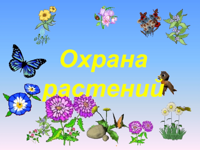 Охрана растений 3 класс