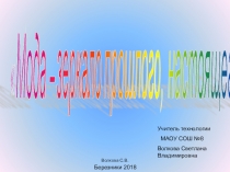 Презентация по технологии на тему Стиль в одежде (7 класс)