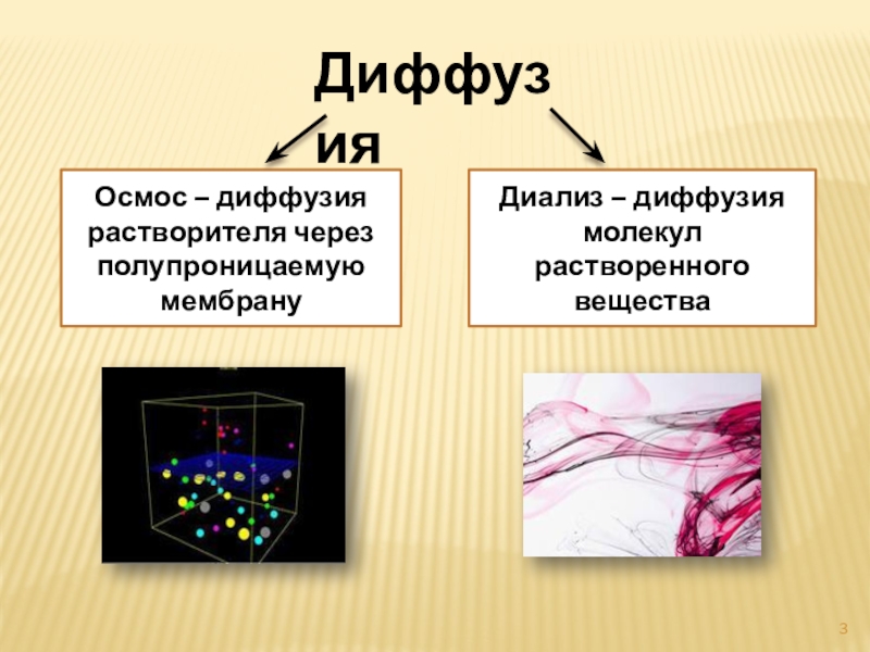 Что такое диффузия. Диффузия и осмос. Диализ диффузия. Осмос и диффузия в биологии. Осмос и диффузия в биологических системах.