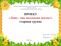 Проект для старшей группы детского сада Здоровое лето