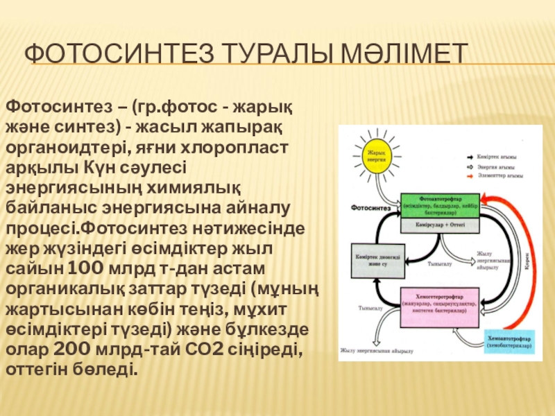 Фотосинтез 5 класс презентация