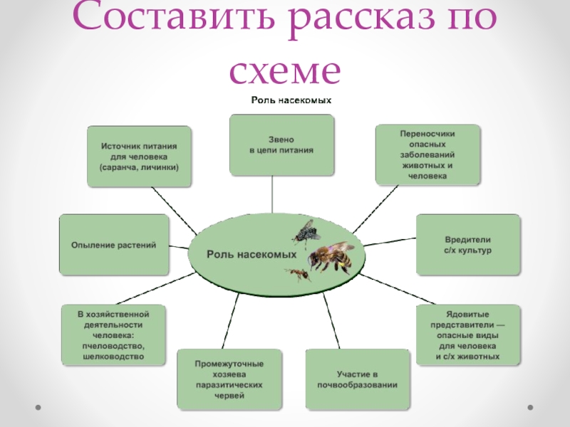 Составляющие истории. Как составить схему рассказа. Составляющие короткого рассказа схема. Составить рассказ по структуре деятельности схема.