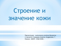 Презентация по биологии на тему Строение и значение кожи