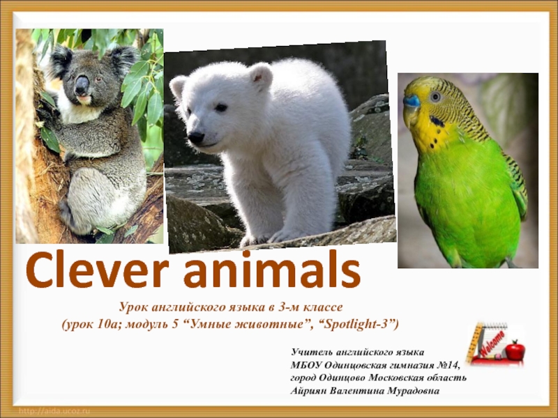 Презентация к уроку  Clever animals Исключение множественного числа