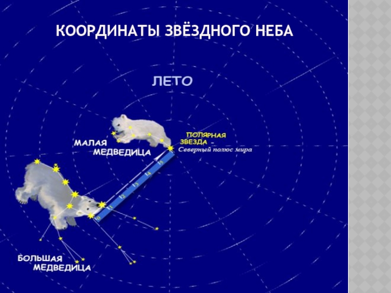 Малая медведица карта