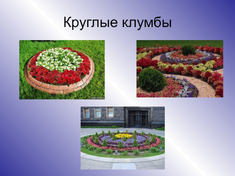 Проект круглой клумбы