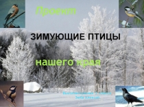 Зимующие птицы нашего края