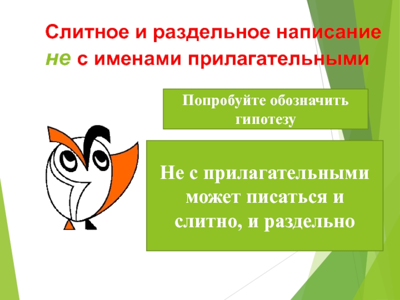 Урок не с прилагательными 6. Не с прилагательными правило. Не с прилагательными 6 класс презентация.