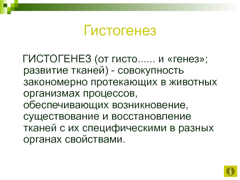 Гистогенез. Процессы гистогенеза. Этапы гистогенеза. Гистогенез человека.