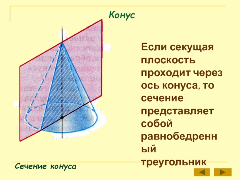 КонусСечение конусаЕсли секущая плоскость проходит через ось конуса, то сечение представляет собой равнобедренный треугольник