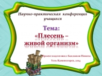 Презентация исследовательского проекта по теме Плесень - живой организм