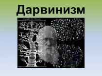 Дарвинизм