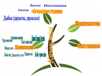 Презентация по казахскому языку на тему Алматы қаласы