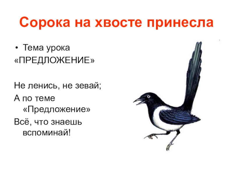 Сорока на хвосте принесла. Сорока на хвосте принесла фразеологизм. Птичка на хвосте принесла. Сорока на хвосте принесла картинки.