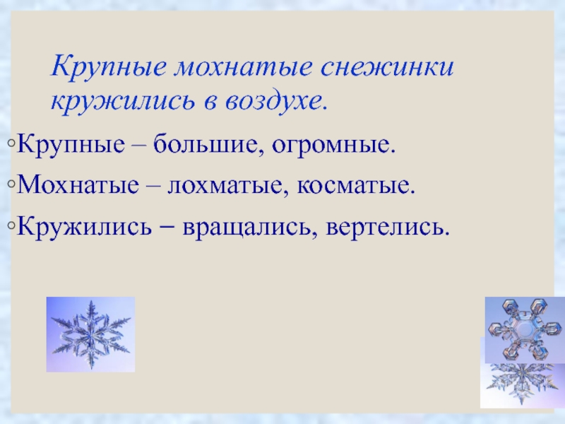 Крупные мохнатые снежинки кружились в воздухе.Крупные – большие, огромные.Мохнатые – лохматые, косматые. Кружились – вращались, вертелись.