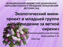 Презентация по экологии Наблюдение за веткой сирени (Младший дошкольный возраст)