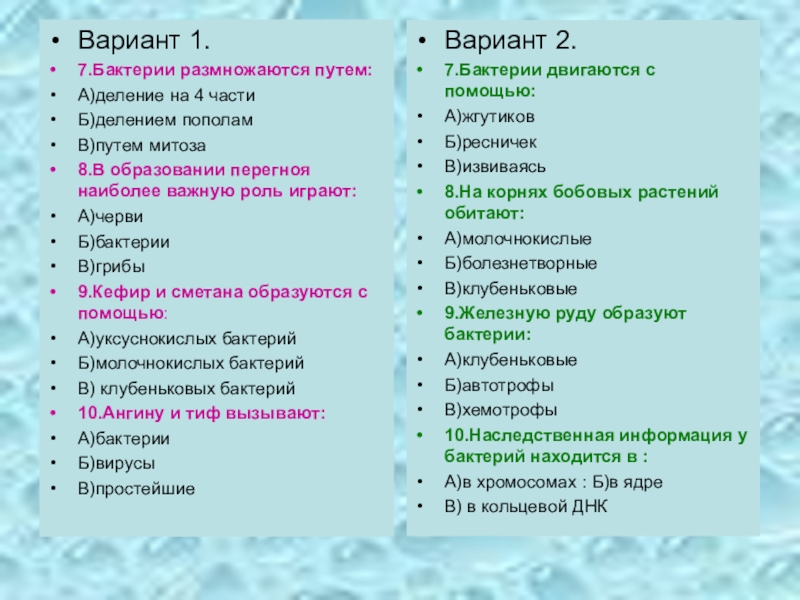 Презентация по теме бактерии 7 класс