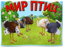Презентация по окружающему миру на тему Мир птиц
