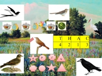 Презентация логопедического занятия в подготовительной группе Перелетные птицы