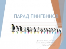 Презентация Парад пингвинов 5-11 класс