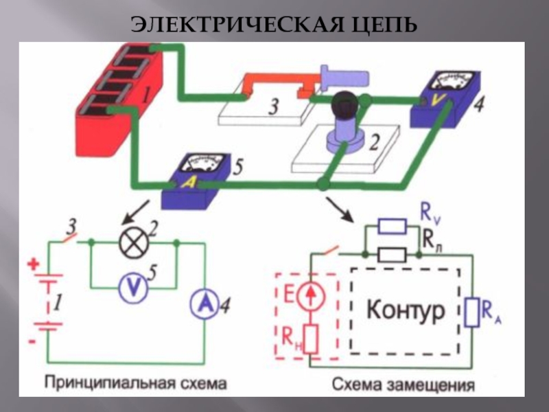 Электрическая схема по электротехнике