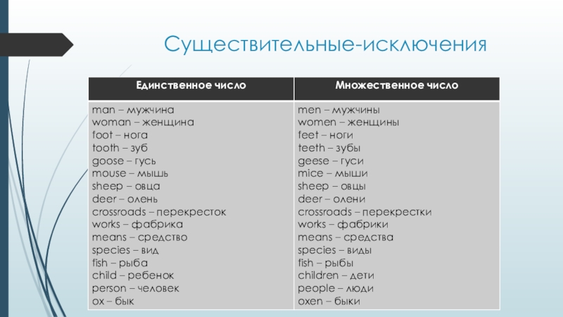 Презентация множественное число