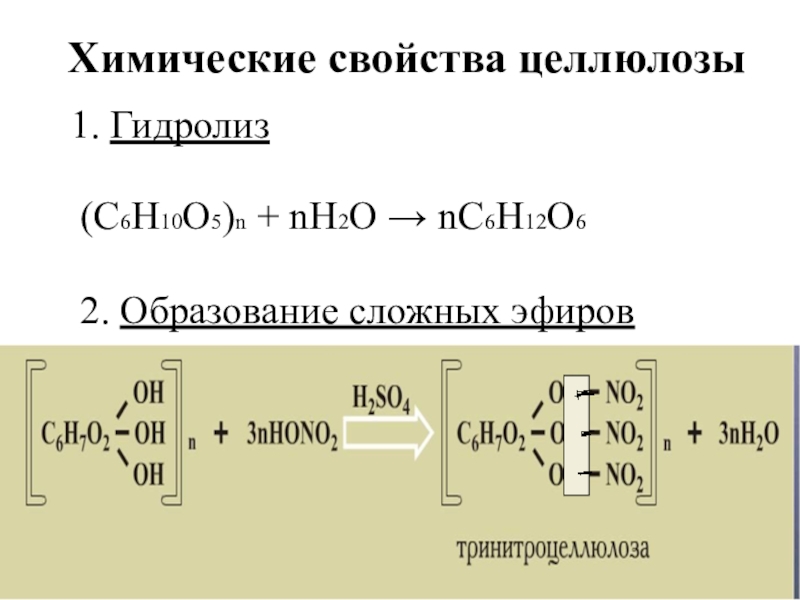 Схема гидролиз целлюлозы