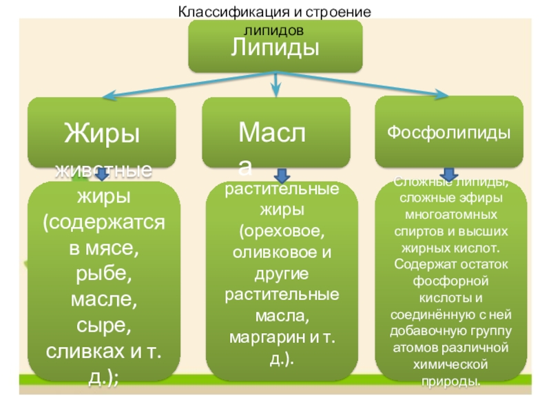 Строения классификация. Липиды презентация. Жиры биология 10 класс. Фосфолипиды и жиры. Классификация жиров липидов.