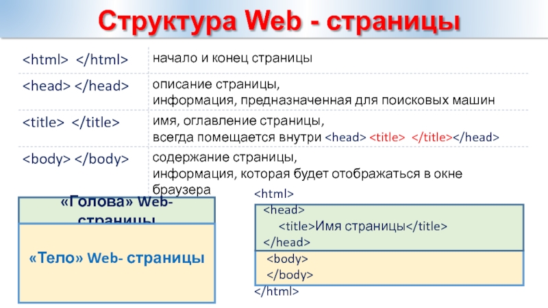 Структура веб страницы сайта